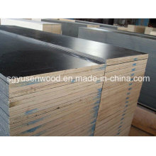 Waterproof Shutting Plywood/Black Brown Film Faced Plywood for Construction